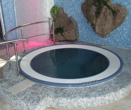 Встраиваемый спа-бассейн Jacuzzi Alimia PRO Built In